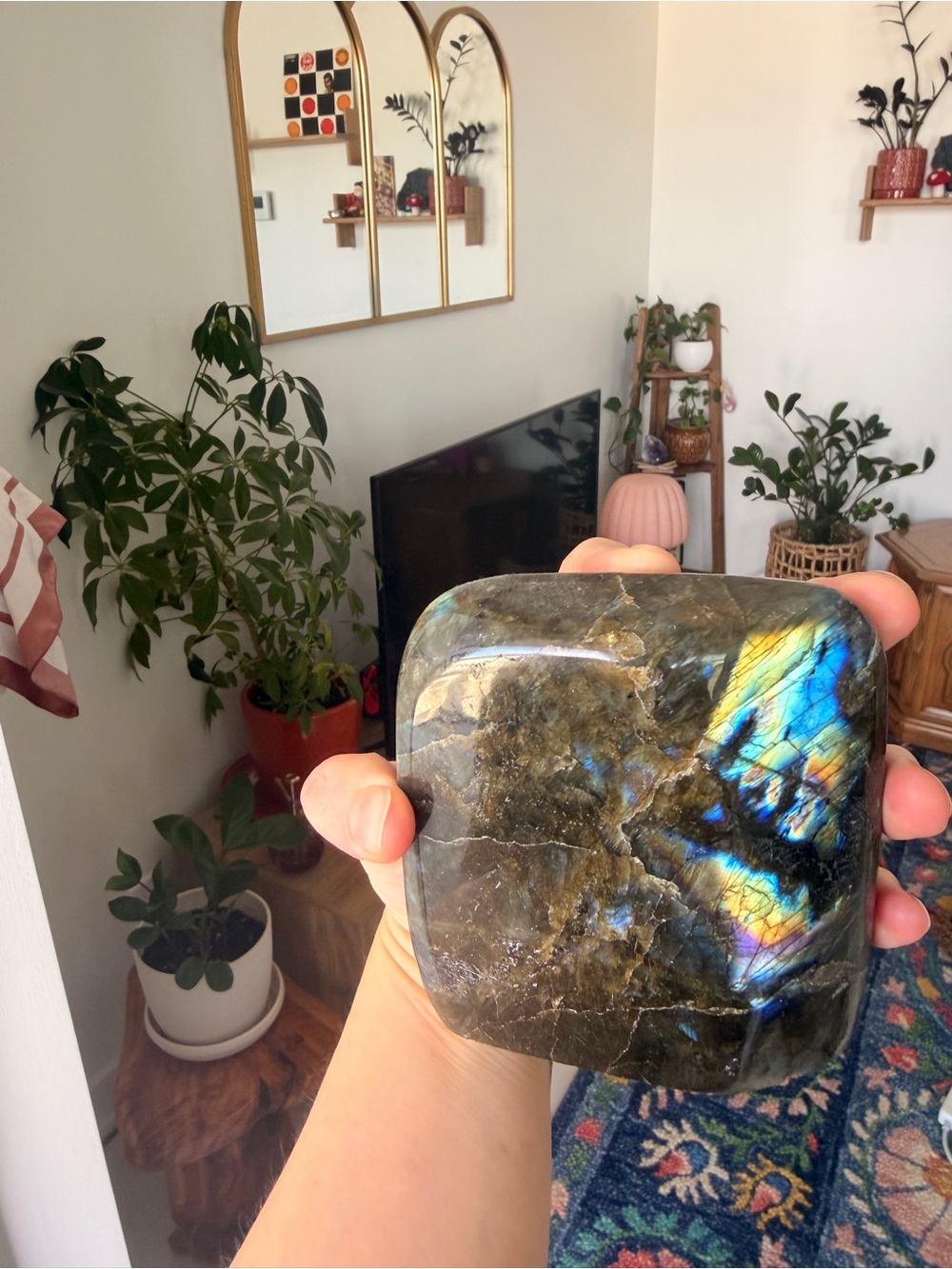 Large Polished Labradorite Freeform
